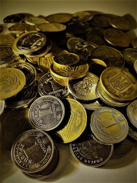 cash, money, ukraine, coins, finance, currency, success, business, vacation