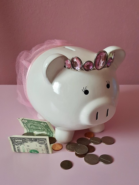 piggy bank, pig, piggy, pink, savings, save, money, coins, cash, dollar, bank, banking, pocket money, finance, financial, wealth, invest, investing, investment, tax, financial planning, economics, economy, usd, tiara, piggy bank, finance, financial planning, financial planning, financial planning, financial planning, financial planning