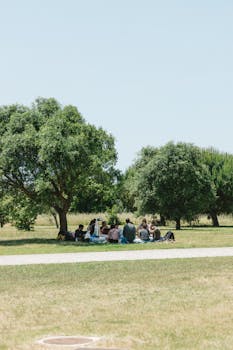 A serene outdoor gathering of adults under trees in a Portuguese park on a sunny day.