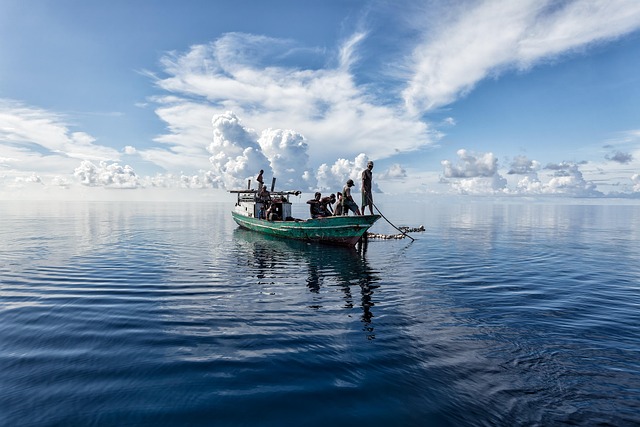 landscape, tropical, sea, halmahera sea, fishing, nature, fish boat, the web, bajau people, indonesia